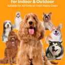 Dog Clippers for Grooming  Cordless Pet Hair Trimmer for Thick Coats, Low-Noise Dog Grooming Kit with Stainless Steel Blade for Large Dogs & Other Pets