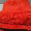 Red Rugs for Bedroom, 3x5 Fluffy Area Rugs for Living Room, Small Fuzzy Shag Soft Non-Slip Carpet for Kids Girls and Boys Nursery Dorm Indoor Room Home Decor (3ft X 5ft, Red)