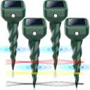 Groundhog for Lawns Garden