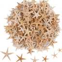 100 Pcs Small Starfish Star Sea Shell Beach for Craft 0.4"-1"