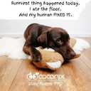 Coconix Floor & Furniture Repair Kit | Fix Scratches, Scuffs, and Dents on Hardwood Floors, Furniture, and Laminate Surfaces | Easy Application with Kneadable Putty