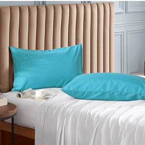 EVOLIVE Ultra Soft Brushed Microfiber Standard Size 20"x30" Pillowcases Pair Set of 2 with Envelope Closure (20"x30" Standard, Ocean)