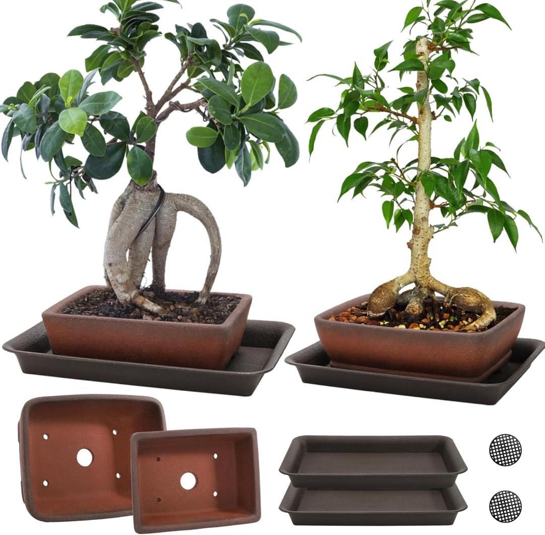 2 Pack Ceramic Bonsai Pots with Drainage Tray, 6" and 7" Unglazed Rectangle Bonsai Tree Planters, Bonsai Training Pots, Succulent Cactus Planter with Drainage Hole for Outdoor Indoor, Brown