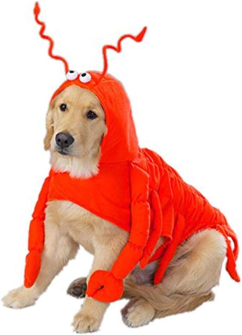 Casual Canine Lobster Paws Dog Costume, Medium (Fits lengths up to 16"), Red-Orange (M (Neck: 13", Girth: 22", Back: 16"))