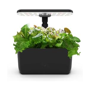 AeroGarden Harvest Lite in Black, Soil-Free Indoor Hydroponic Garden with LED Grow Light for Year-Round Gardening of up to 6 Herbs and Vegetables