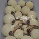 18 Pcs Velvet Christmas Balls Bulk 3.15, 2.76, 2.36 Inch, Flocked Xmas Tree Ball Ornaments Plastic Velvet Christmas Ornaments Xmas Tree Hanging Decoration(Cream White)