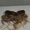 NAYOO Clip in Hair Extensions for Women 20 Inch Long Wavy Curly Ombre Brown to Blonde Hairpieces Full Head Synthetic Hair Hairpieces(6PCS,Ombre Brown to Blonde)