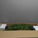 35inch Artificial Topiary Boxwood Tree, Faux Plants Outdoor 2 Packs Fake Bushes Faux Shrub, Artificial Topiary for Outdoors for Home Decor Indoor Front Porch