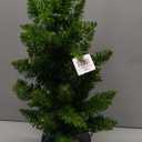 Nearly Natural 2ft. Providence Pine Artificial Christmas Tree in Decorative Planter with 35 Warm White Lights and 51 Bendable Branches (Green)