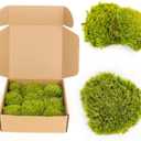 1.5 Sq. Ft. Preserved Moss Pole Decorative Moss for Crafts, Art, Wall Decor,Yellow Green Moss
