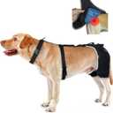 Hip Dysplasia Brace for Dogs with Hot/Cold Pack  Breathable and Comfortable Hip Support for Mild Torn ACL, Arthritis & Post-Recovery Mobility, Size XL