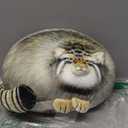 Sew Butiful Steppe Cat Plush 30cm/12inch Pallas Cat Stuffed Animal, Cute Plushies for Girls, Soft Plush Pillow, Throw Pillow Doll Decoration Doll Birthday Gift for Kids Boys Party