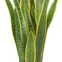 Hollyone Artificial Snake Plant Potted, 28 Inch Faux Sansevieria Trifasciata Plants Large Tall Tropical Fake Snake Plants Tree in White Pots for Home Office Room Patio Garden Indoor Outdoor Decor