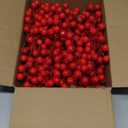 Panxxsen 30 Pack Artificial Red Berry Stems Christmas Red Berry Picks,Winter Fake Berries Bunch Faux Cranberries for Christmas Tree Decorations,Ornaments,Crafts