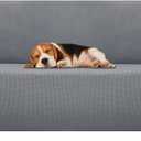 ZNSAYOTX Stretch Oversized Couch Cover Universal Sofa Covers for Living Room Dogs Pet Furniture Protector Spandex Extra Large Sofa Slipcovers with Anti Slip Foam Sticks (Light Grey, XL Sofa)