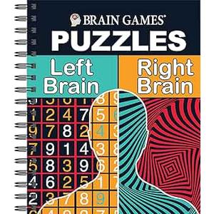 Brain Games - Persons of Interest Puzzles