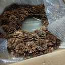 Huashen 18 Inch Fall Wreath for Front Door Full Artificial Pinecone Wreath