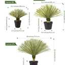 Artificial Agave Plant in Black Pot with Real Stone Pebbles, Large Fake Plants with Fake Green Moss, Faux Yucca Rostrata with Long Sword-Shaped Leaves for Indoor/Outdoor-23 Inches,1 Pack