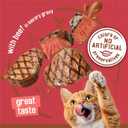 Purina Friskies Extra Gravy Wet Cat Food Chunky With Beef in Savory Gravy - (Pack of 24) 5.5 oz. Cans (EXP 03/01/27)