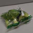 SQEQE Weighted Dinosaur Plush, Weighted Dinosaur Stuffed Animal, Dino Plushies Dino Pillow Toy Gift for Kids Adults 9.8 Inch, 0.8 Lbs (Green)