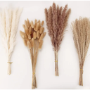 Dried Pampas Grass Decor, 100 Stems Pampas Grass Contains Bunny Tails Dried Flowers, Reed Grass Bouquet for Wedding Boho Flowers Home Table Decor, Rustic Farmhouse Party (17", White and Brown)