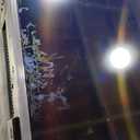 TCL 65 Inch Class T7 Series | 4K QLED HDR | 65T7, 2025 Model | 120HZ-144HZ High Brightness Smart Google TV Dolby Atmos Audio | Voice Remote Alexa Gaming Streaming Television