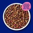 Kibbles 'N Bits Small Breed Mini Bits Savory Beef & Chicken Flavors Dog Food, 16-Pound(Pack of 1) (EXP 12/12/27)