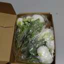 Luyue 2 Packs Peonies Artificial Flowers Vintage Faux Peony Bouquet Fake Flower for Vase Silk Floral Arrangements for Table Centerpiece Wedding Decoration Indoor Home Decor