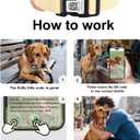 WhoseID Dog Collar with Waterproof AirTag Holder & Anti-Lost QR Code, Cute Bling Warpping Adjustable Width for Small Medium Large Pet (Yellow, L)