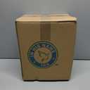 In His Name LED Dinosaur Night Light for Boys and Girls Dinosaur Lamp Premium Trex Nightlight for Kids & Bedside Dino Night Light for Unique Light Gifts Room Decor Spring Summer