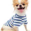 LOPHIPETS 100% Breathable Cotton Striped Dog Tee Shirt T-Shirt for Small Dogs Chihuahua Puppy Clothes -Blue and White Strips/M (Medium for 4.5-6.5 lbs)