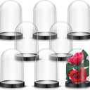 Zhengmy 12 Pieces Plastic Dome Display Case Display Cloche Dome Cloche Bell Jar with Base Clear Cloche Dome Decoration Case for Collectibles Rose Office Home Tabletop Centerpiece Decoration(Oval)