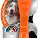 BIONIC Urban Stick Dog Toy, Medium - Interactive Dog Chew Toy That Stands Up to The Toughest Chewers, for Dogs Between 15-35 lbs. (7-15 kg.)