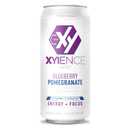 Xyience Blueberry Pomegranate Energy Drink, 16 fl oz can (Pack of 12)
