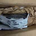 Selamica Porcelain Square Dessert Salad Pasta Steak Plates 10 inches ceramic plates set of 6 microwave/dishwasher/oven safe, Vintage Blue