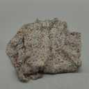 Girls Fall Long Sleeve Dress Floral Ruffle Flower Girl Formal Party Holiday Midi Dresses with Belt 5-14 Years (7-8 Years)