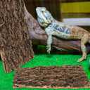 Kisangel Reptile Terrarium Bark Decor Natural Tree Bark Background 11.8 Inch Reusable Terrarium Accessory for Gecko Lizard Spider Enclosures