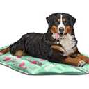 Dogs Rock Reversible Pet Cooling Mat Large 26x20 Green