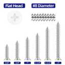 #8 x 2 Flat Head Self Tapping Screws, White Head Wood Screw, 304 Stainless Steel 18-8, Screwdriver Bit Included, 100 PCS