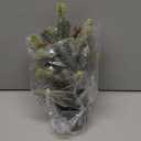 BellDesigns Artificial Flower with Red BucketChristmas centerpieces for Tables,Pre-lit Artifical Small Tabletop Christmas Tree with USB Power for Home,Office and Holiday Table DIY Christmas Dcor