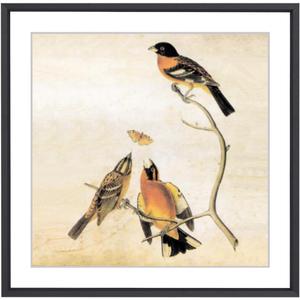 9x9 Picture Frame, Black Metal Square Photo Frames with HD Glass, Fits 8x8 with Mat or 9 x 9 without Mat, Display for Wall and Table, 1 Pack