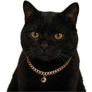 Gold Cat Chain Collar with Removable Bell,Adjustable Cuban Link Metal Necklace, Cute Pet Jewelry for Cats & Small Dogs