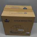 BISSELL Little Green Mini Portable Carpet and Upholstery Deep Cleaner, Car/Auto Detailer, with HydroRinse Self-Cleaning Tool and 4" Tough Stain Tool, Tea Green, 4075