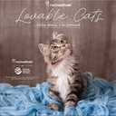 Lovable Cats 2026 Wall Calendar