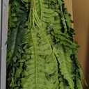 35" Fake Ferns, 4 Large Artificial Bonston Ferns Bushes Plants with 39 Fronds for Outdoors Garden Patio Porch Entrance Low Maintain Home Decor