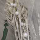 RoseCraft 10PCS Christmas Tree Decorations, Artificial Glitter Berry Stems Branches, for Christmas Tree Ornaments Picks Twigs Xmas Vase Filler Home Wedding Holiday Winter Decor. (White)