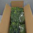 Siyaluens 2Pcs 3FT Norfolk Pine Tree with Pot - Christmas Tree with Real Touch PE Branch Tips for Front Porch, Kitchens, Home Indoor Outdoor Xmas‌ Decor