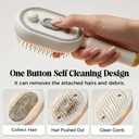 2026 Upgraded Electric Steam Brush for Hair,Electric Spray Air Cushion Massage Comb,Rechargeable,Smooth & Nourish, Detangling&Anti-Static (Beige)