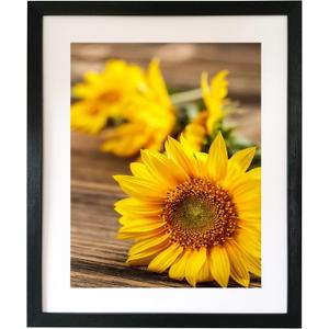 16x20 Wall Picture frame, White Gallery Photo Frame for Horizontal or Vertical Display