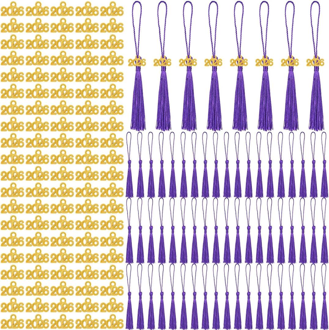 Cindeer 100 Pcs Mini Graduation Tassels with 100 Pcs 2026 Tassel Charms for Crafts Mini Silky Bookmark for Graduation Cap Keychain Ornaments DIY Craft Jewelry Making Project(Purple)